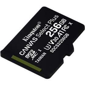 Kingston Canvas Select Plus Carte MIcro SD SDCS2-256GBSP Class 10[620]