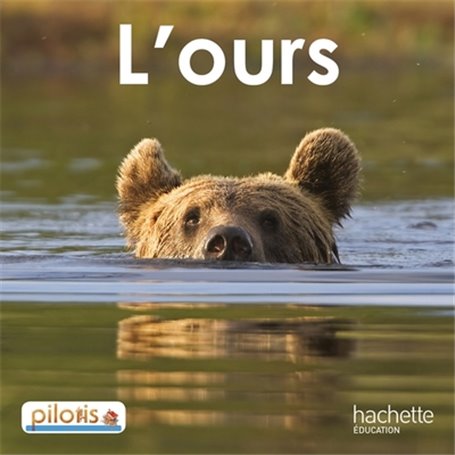 Lecture CP - Collection Pilotis - Album 2 L'Ours - Edition 2013