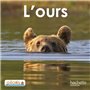 Lecture CP - Collection Pilotis - Album 2 L'Ours - Edition 2013