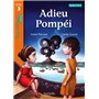 Adieu Pompéi Niveau 3 - Tous lecteurs ! Roman - Livre élève - Ed. 2013