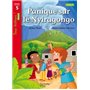 Panique sur le Nyiragongo Niveau 5 - Tous lecteurs ! Romans - Livre élève - Ed. 2014