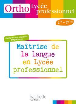 Lycée professionnel, Bac professionnel (4e/3e technologique, CAP, BEP...)