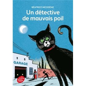 Un détective de mauvais poil