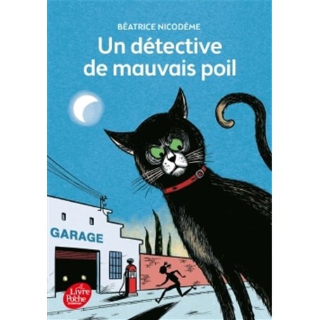 Un détective de mauvais poil