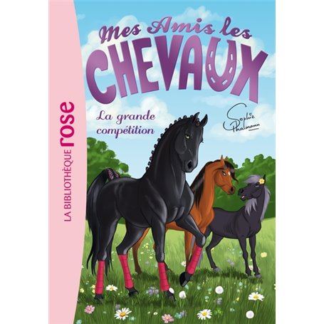 Mes amis les chevaux 02 - La grande compétition