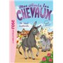 Mes amis les chevaux 04 - Un rival inattendu