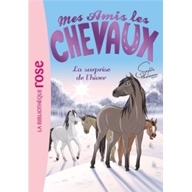 Mes amis les chevaux 07 - La surprise de l'hiver