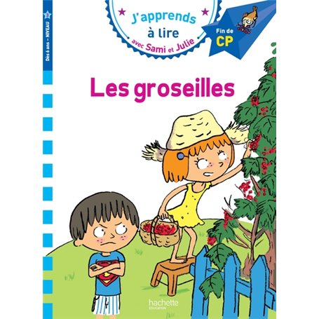 Sami et Julie CP Niveau 3 Les Groseilles