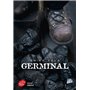 Germinal - Texte Abrégé