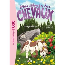 Mes amis les chevaux 08 - Le loup solitaire