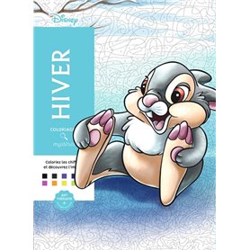 Coloriages mystères Disney - Hiver