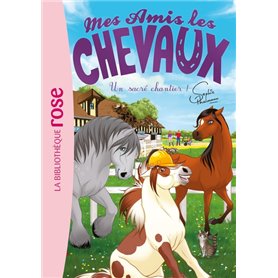 Mes amis les chevaux 31 - Un sacré chantier !