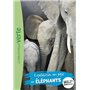 Wild Immersion 06 - Expédition au pays des éléphants