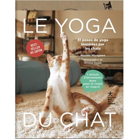 Le Yoga du Chat