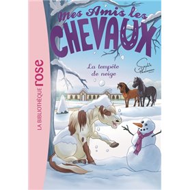 Mes amis les chevaux 25 - La Tempête de neige