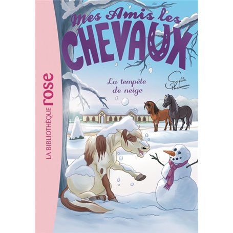 Mes amis les chevaux 25 - La Tempête de neige