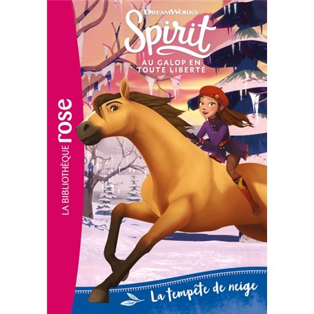 Spirit 04 - La tempête de neige