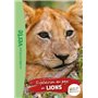 Wild Immersion 01 - Expédition au pays des lions