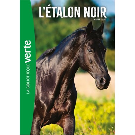 L'Étalon Noir 01 NED - L'Étalon Noir