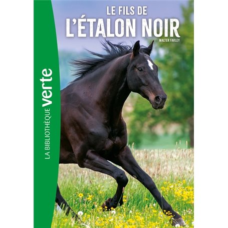 L'Etalon Noir 04 NED - Le Fils de l'Etalon Noir