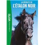 L'Etalon noir 06 NED - La révolte de l'Etalon Noir