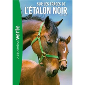 L'Étalon Noir 07 NED - Sur les traces de l'Étalon Noir