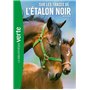 L'Étalon Noir 07 NED - Sur les traces de l'Étalon Noir