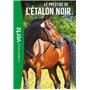 L'Etalon noir 08 NED - Le prestige de l'Etalon noir