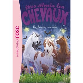 Mes amis les chevaux 40 - La clairière ensorcelée