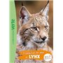 Wild Immersion 10 - Expédition au pays des lynx