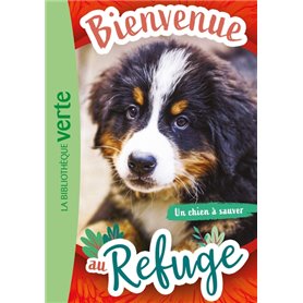 Bienvenue au refuge 02 - Un chien à sauver