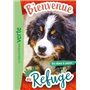 Bienvenue au refuge 02 - Un chien à sauver