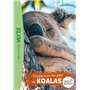 Wild Immersion 12 - Expédition au pays des koalas