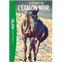 L'Etalon noir 09 NED - Le secret de l'Étalon Noir