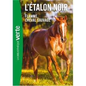 L'Etalon Noir NED 10 -  Flamme cheval sauvage