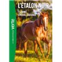 L'Etalon Noir NED 10 -  Flamme cheval sauvage