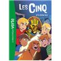 Les Cinq NED 29 - Les Cinq et la statue inca