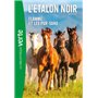 L'Etalon Noir NED 11 - Flamme et les pur-sang