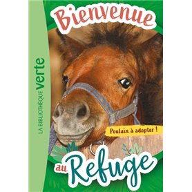 Bienvenue au refuge 03 - Poulain à adopter !