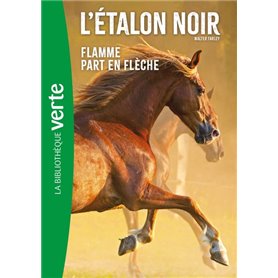 L'Etalon Noir NED 12- Flamme part en flèche