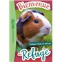 Bienvenue au refuge 06 - Cochons d'Inde en détresse