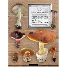 Champignons de nos régions