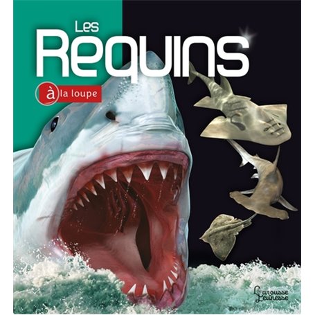 Les Requins