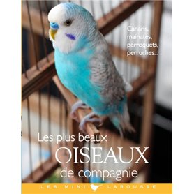 Les plus beaux oiseaux de compagnie