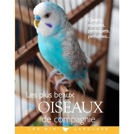 Les plus beaux oiseaux de compagnie