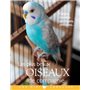 Les plus beaux oiseaux de compagnie