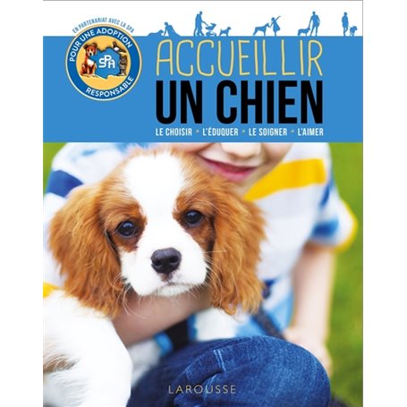 Accueillir un chien