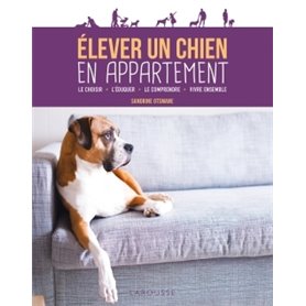 Élever un chien en appartement