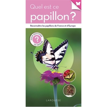 Quel est ce papillon ?