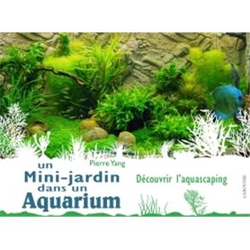Un mini jardin dans un aquarium